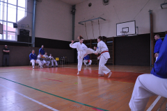 Andrea Šipošová (vlevo) útočí přímým kopem.