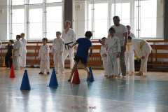V hrách a soutěžích převažovaly prvky agility, rychlosti a postřehu.