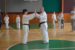 Alena Bajerová a Miroslav Zezulka předvádějí soutěžní cvik.