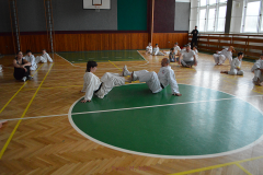 Alena Bajerová a Miroslav Zezulka předvádějí soutěžní cvik.