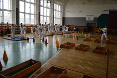 Základní pohybové principy karate, bojových pozic, manévrování...