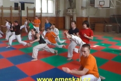 Posilovací cviky formou technik karate.