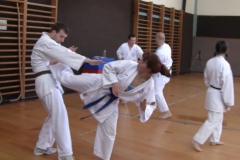 MUDr. Martina Neudertová, 3. kyu útočí obloukovým kopem do břicha Jiřího Kopice, 2. kyu.