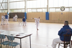 Šárka Kučerová, I. Dan v soutěži forem.