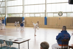Alena Bajerová, II. Dan v soutěži forem.