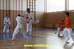 Ondřej Vachek, 4. kyu (vpravo) útočí ve výskoku na slovinského borce.