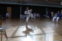 Dalibor Mrňávek, 2. kyu v soutěži forem.