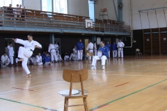 Martin Šmegr, I. Dan v soutěži forem.