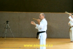 MIroslav Zezulka, VI. Dan vede nácvik boje s krátkou tyčí.