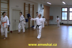Miroslav Zezulka, VI. Dan opravuje chyby v plyometrii.