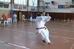 web_1507CC_Boje_22