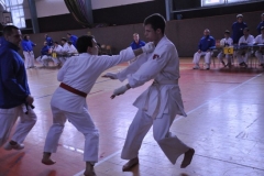 1403JS_M.Trnkoci
