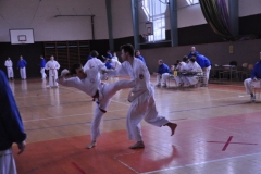 1403JS_M.Trnkoci2