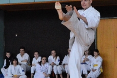 Soutěž forem Contra Set, Adam Knajbl, II. Dan.