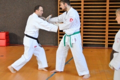 Ukázka na semináři Pavel Trunec, II. Dan (vlevo) s Martinem Goláněm.