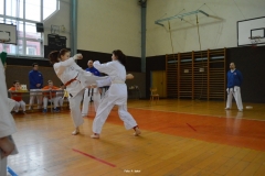 Absolutní kategorie bojů žen, Zuzana Petrželková (vlevo) a MUDr. Martina Neudertová.