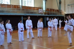 Ukázka na semináři Štěpán Příhoda, I. Dan.