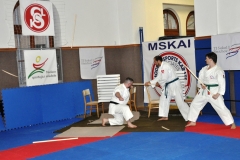 1511MM_exhibice_Motl_04