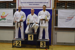 Absolutní kategorie bojů mužů. 1. A. Knajbl, 2. V. Zoubek, 3. J. Ruibar.