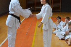 1410PS_foto_PrcikovaRomana