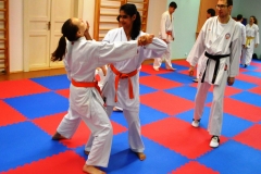 Na použití karate v sebeobraně dohlíží Štěpán Příhoda, I. Dan.