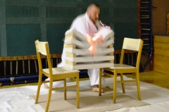 M. Motl, III. Dan demonstruje techniku přerážení.