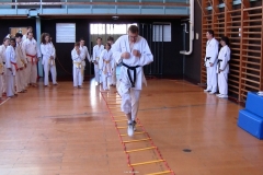 Štěpán Příhoda, I. Dan vedl blok s atletickým žebříkem.