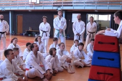 Blok sportovní teorie vedený Josefem Králem, I. Dan.