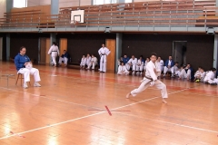Dalibor Mrňávek, 2. kyu v soutěži forem.