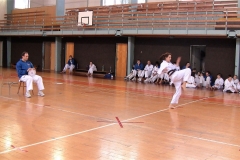 MUDr. Martina Neudertová, 2. kyu v soutěži forem.